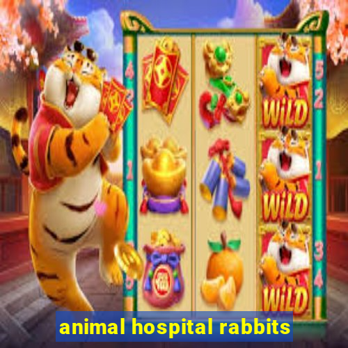 animal hospital rabbits